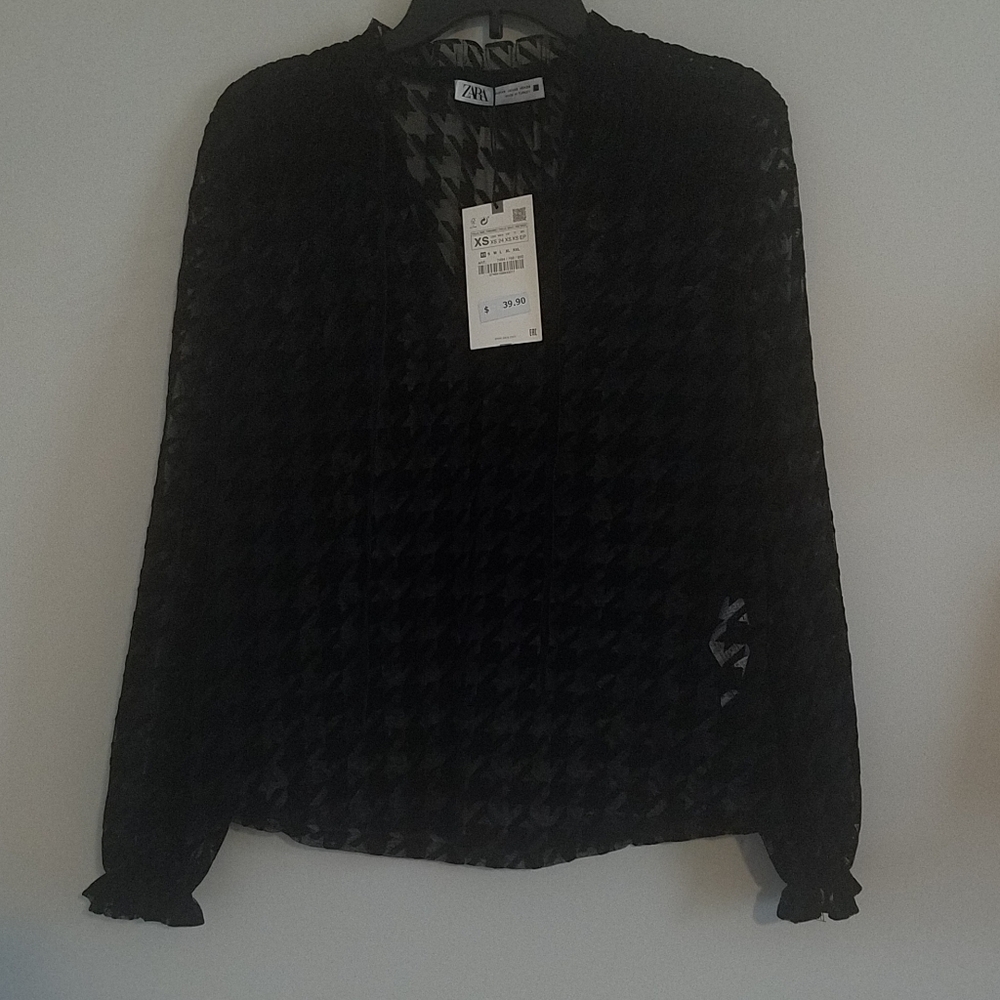 NWT Zara Black Sheer Long Sleeve Top